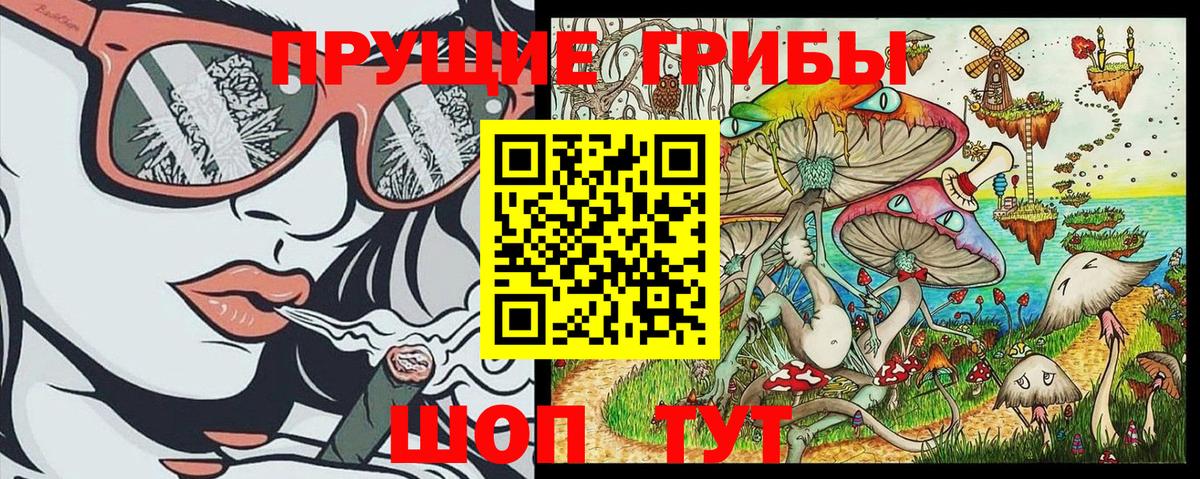 Галлюциногенные грибы GOLDEN TEACHER  купить   Кстово  Вход с VPN 